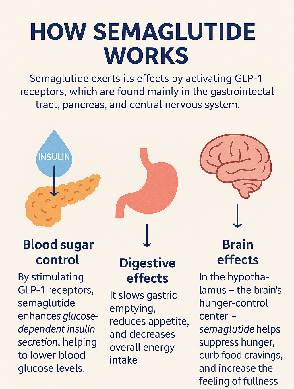 Semaglutide Mechanism of Action