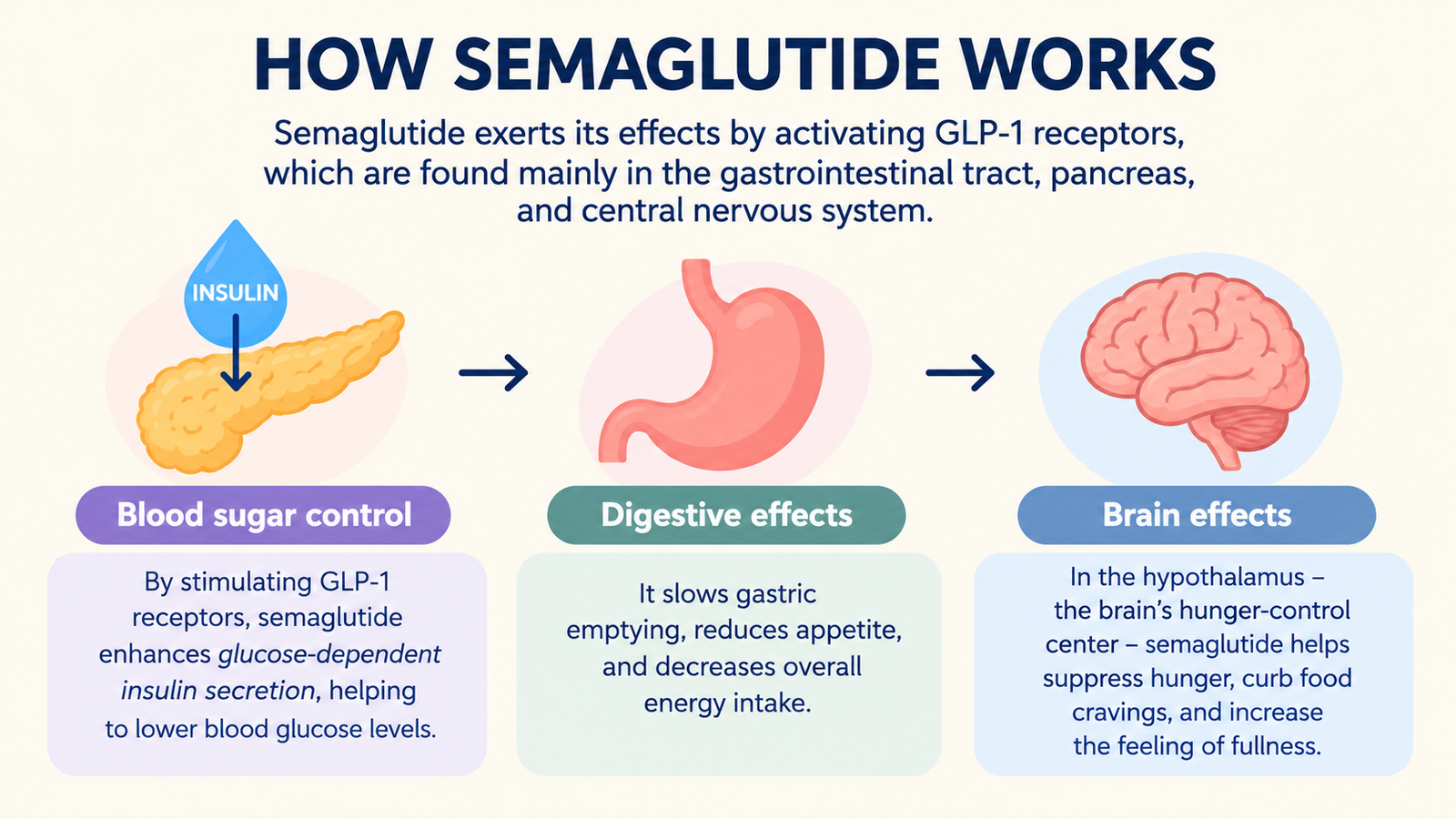 Semaglutide mechanism of action