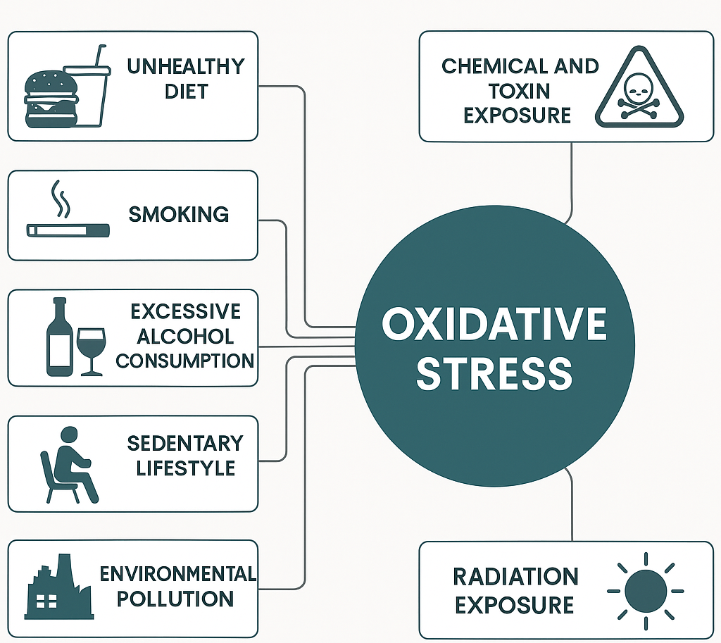 Causes of Oxidative Stress
