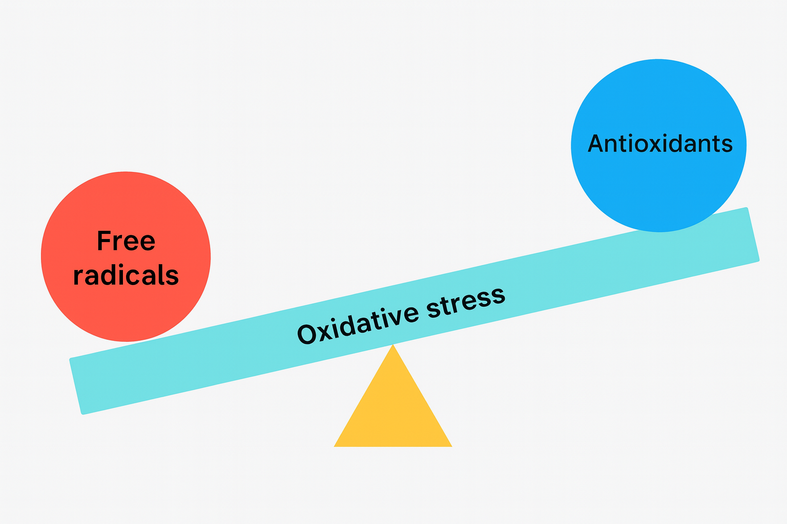 Image illustrates that oxidative stress occurs due to an imbalance between free radical production and antioxidant defenses.
