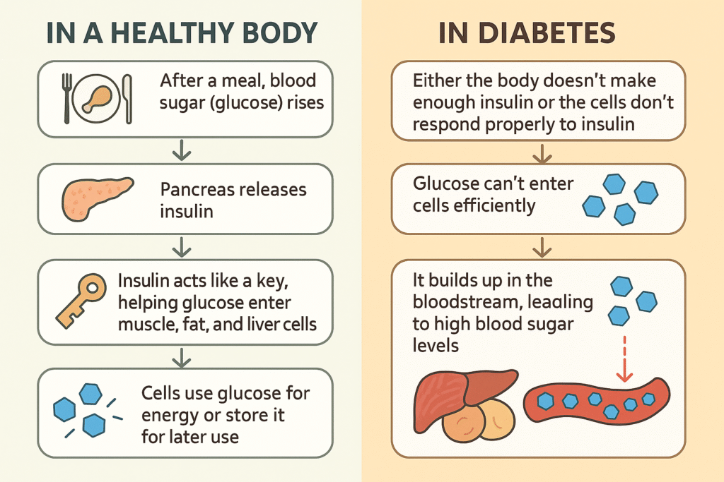 Blood Sugar Control Normal Vs Diabetes
