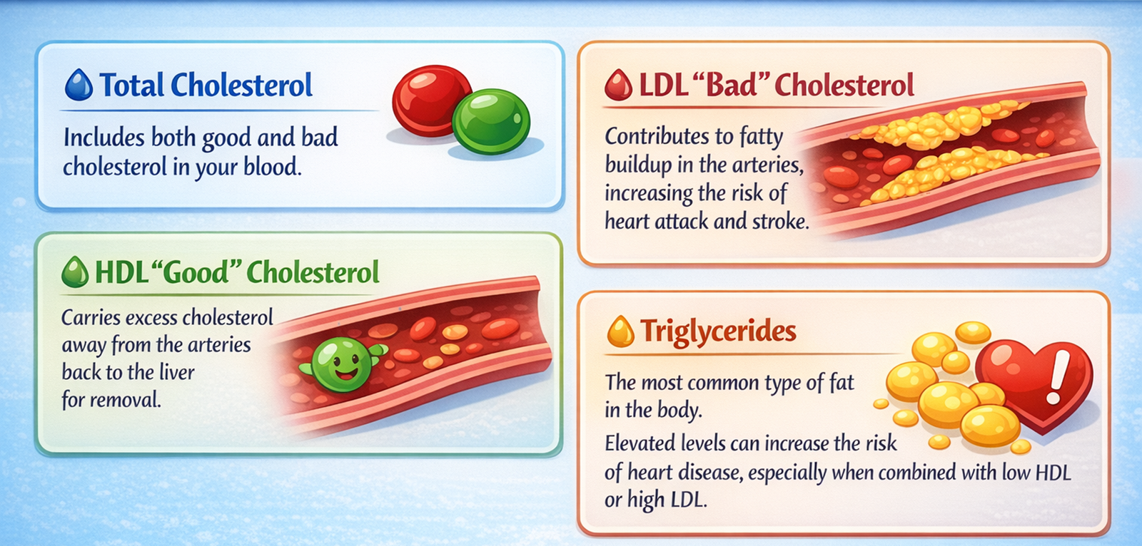 Understanding Lipid Profile
