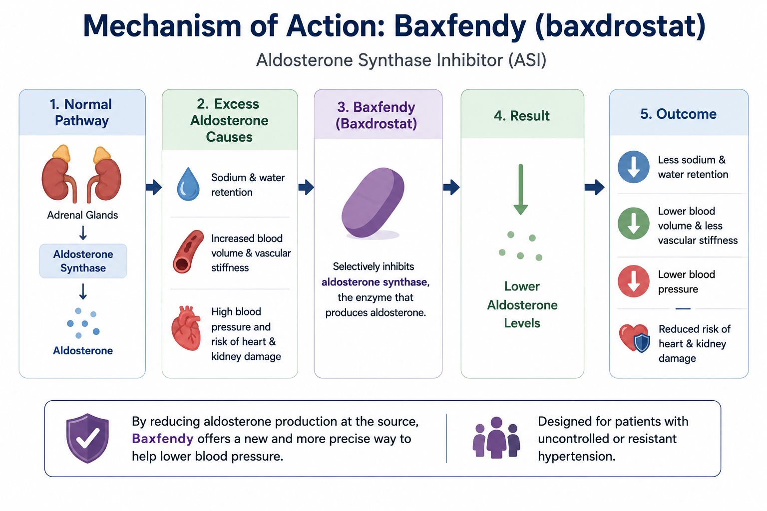 Mechanism of Action Baxfendy 