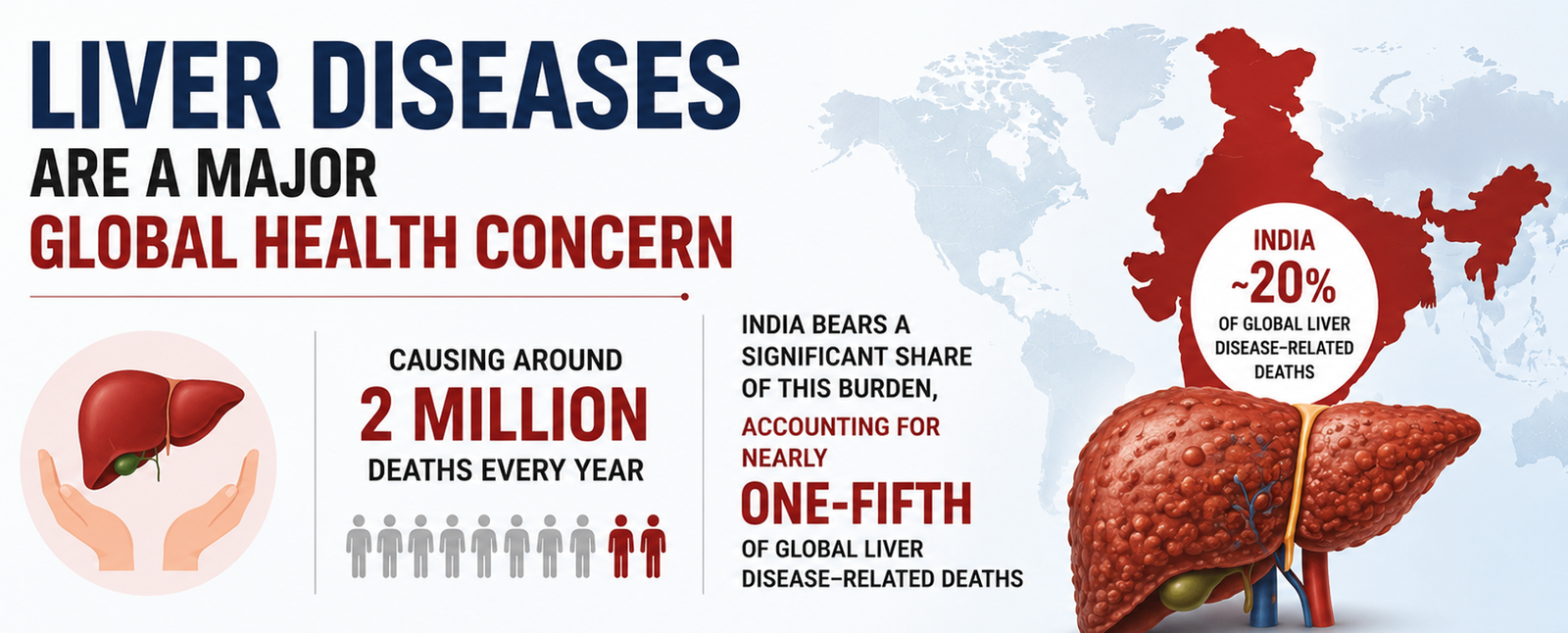 Liver Health A Major Concern