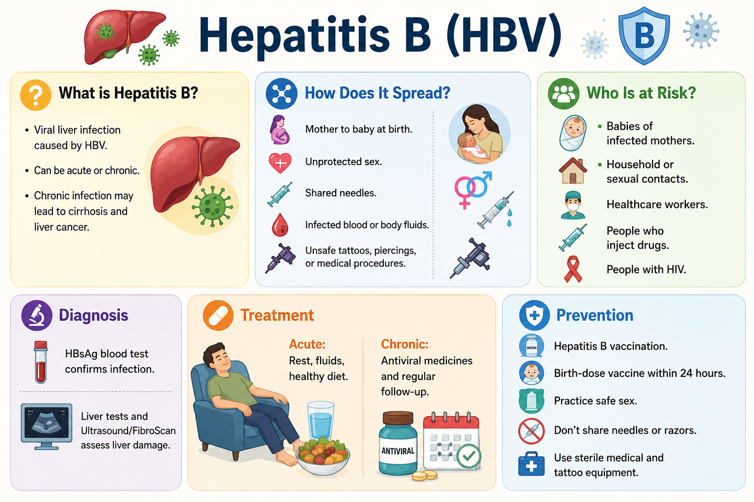 Hepatitis B Overview