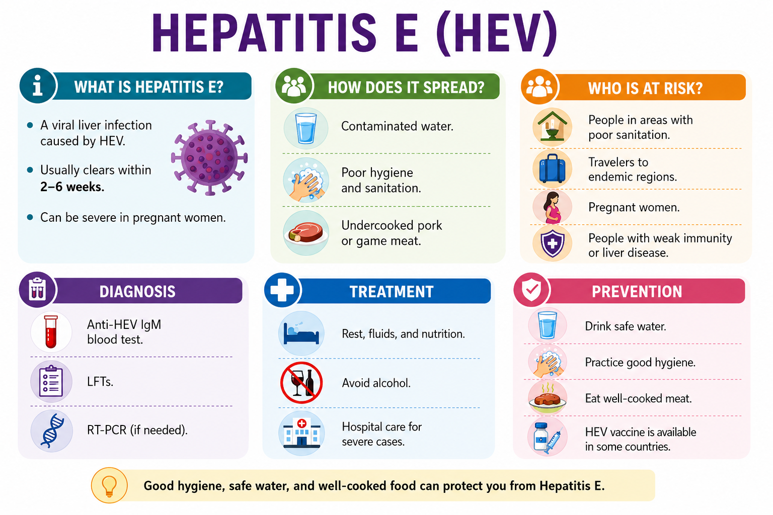 Hepatitis E Overview