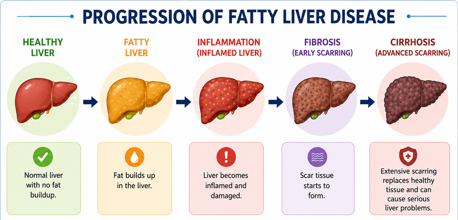 Progression of Fatty Liver Disease